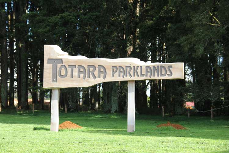 37 Wairau Drive Tikipunga_14