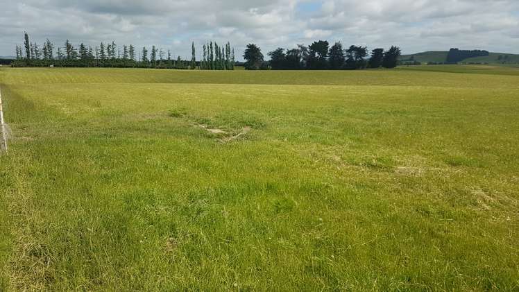 259 Kaihiku Church Road Clinton and Surrounds_6