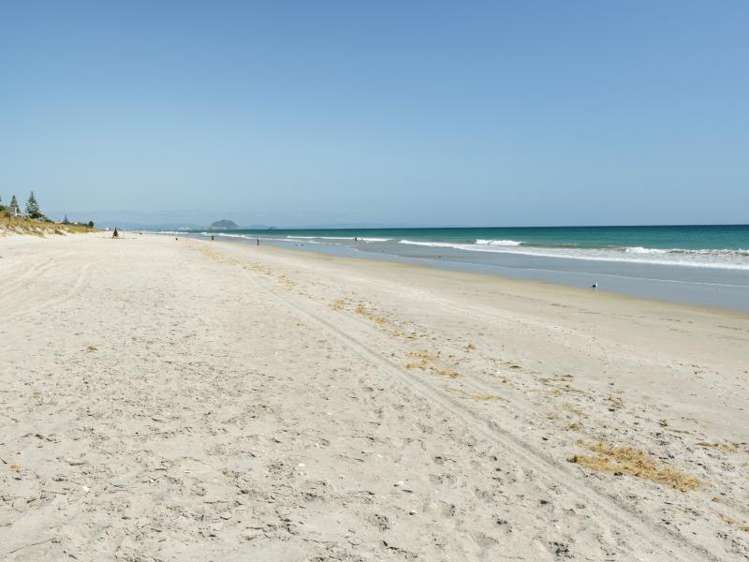 22 Ashley Place Papamoa_1