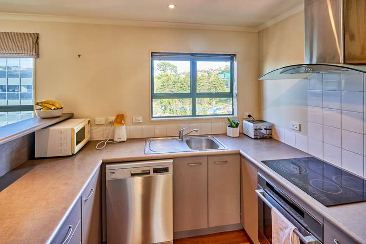 83b Hill Street Thorndon_4