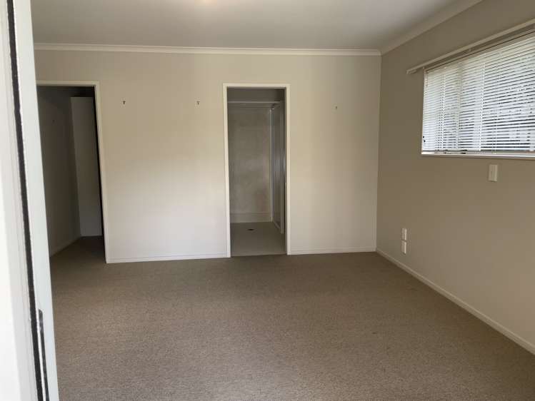 23b Donald Street Regent_5