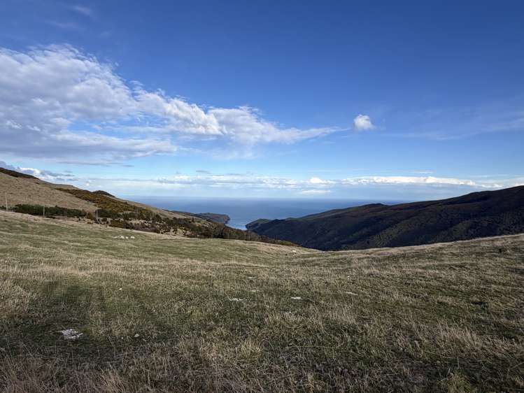 490 Long Bay Road Akaroa_2