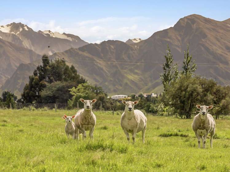 1087 Lake Hawea-Albert Town Road Lake Hawea_27