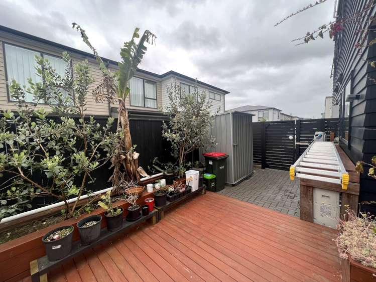27 Gecko Road Hobsonville_14
