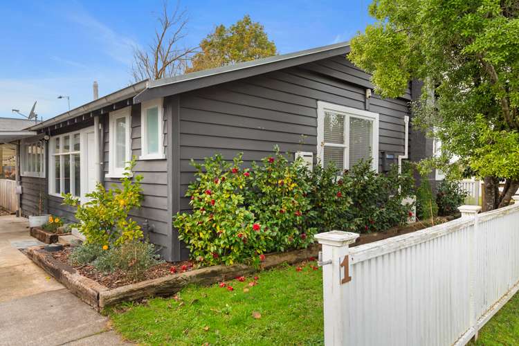 1 Goldsmith Street Maeroa_16