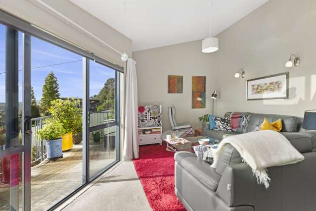 25J Violet Street Raglan_1