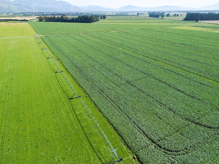 1710 Ealing Montalto Road Ashburton_10