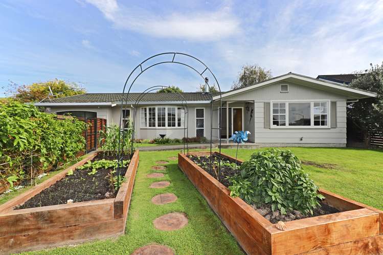 27 Kent Terrace Taradale_15