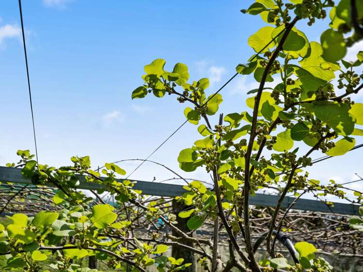 84B Kaiwha Road Welcome Bay_31