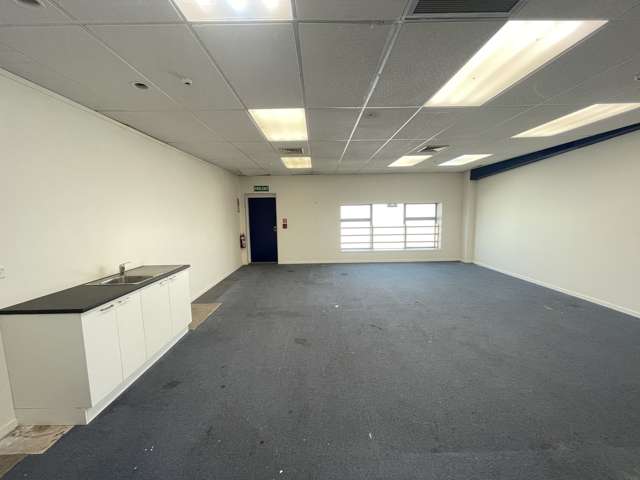 17 Nandina Avenue East Tamaki_4