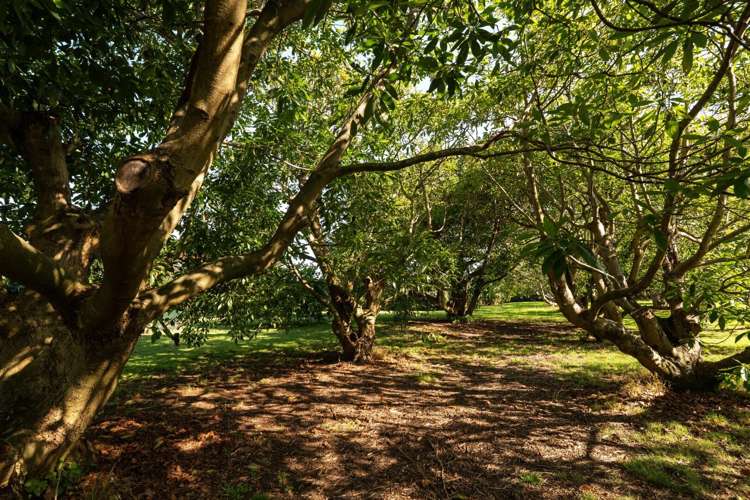 10A Bridgman Lane, Tanners Point Katikati_40