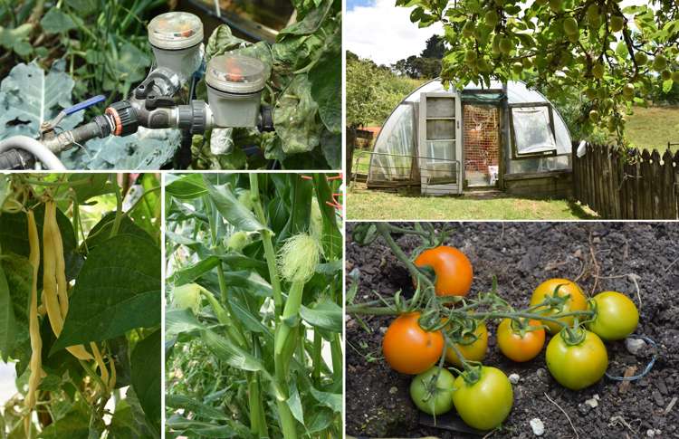 318 Franklin Road Paparoa_71