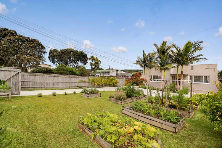 53 Astley Avenue New Lynn_18