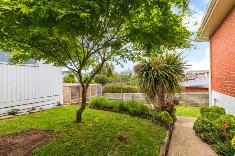 23 Duckworth Street Andersons Bay_17