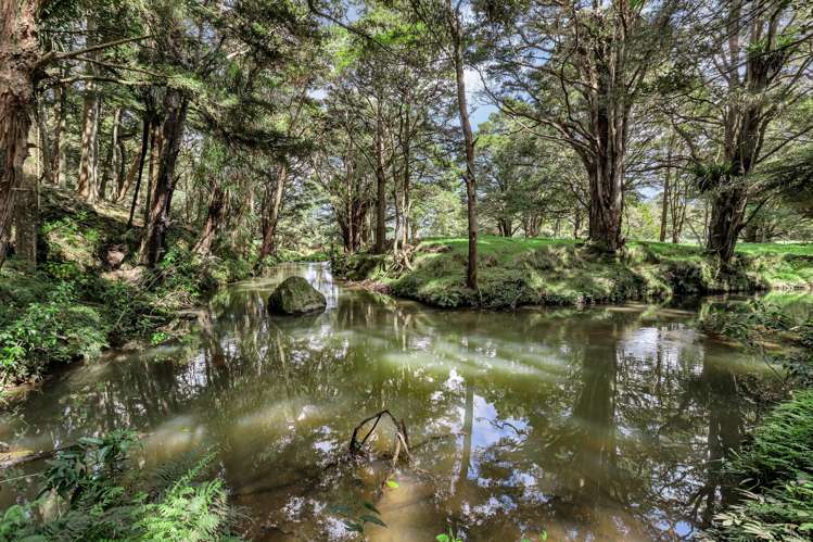 Lot 1, 106 Totara Park Lane Glenbervie_5