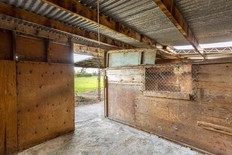 231B Belvedere Road Carterton_17