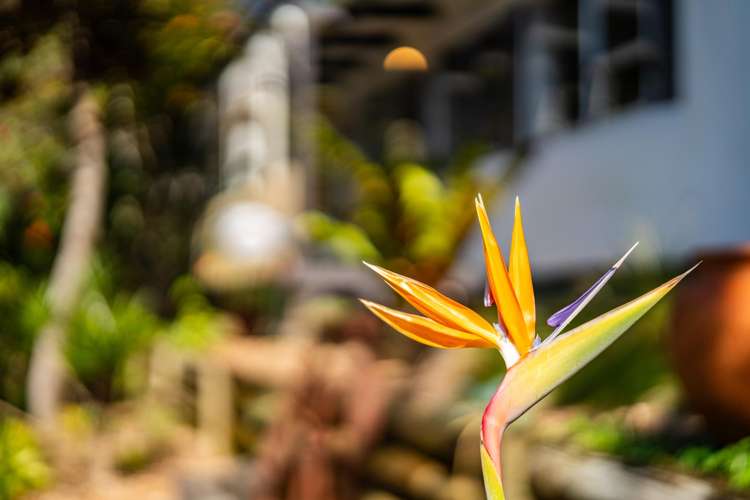 12 Whangarei Heads Road_4