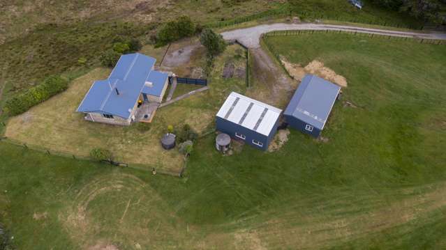 1000 Wilsons Lead Road Lower Buller Gorge_2