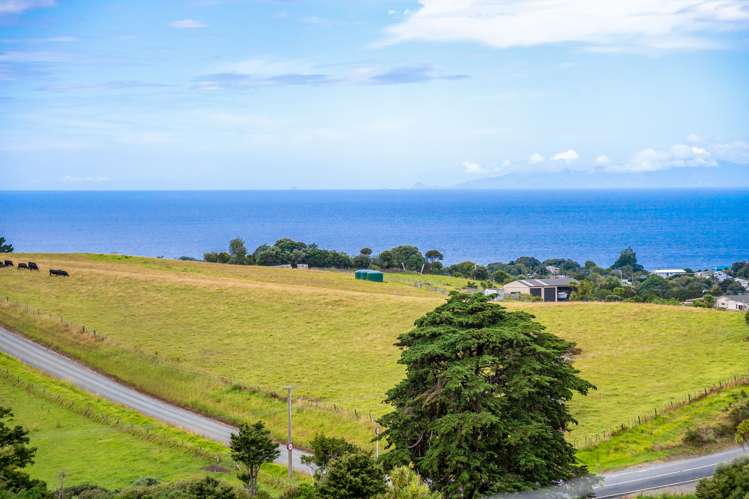 18 Old School Road Leigh_3