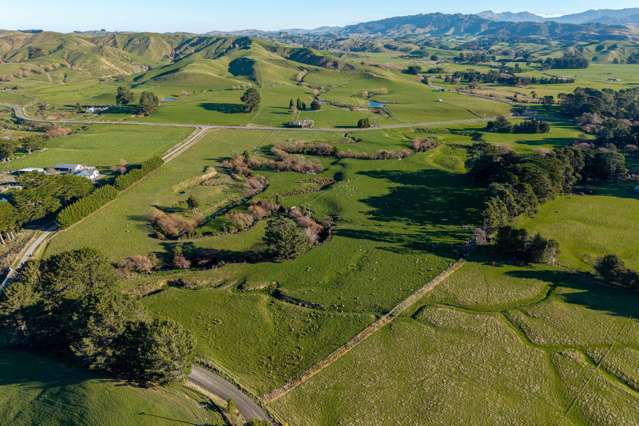 Bowen Road Eketahuna_2