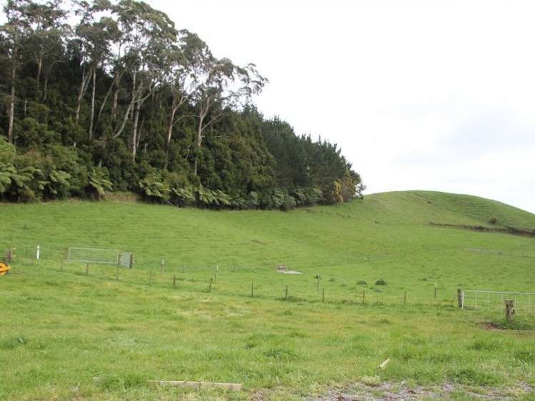382 Awai Road Tarurutangi_18