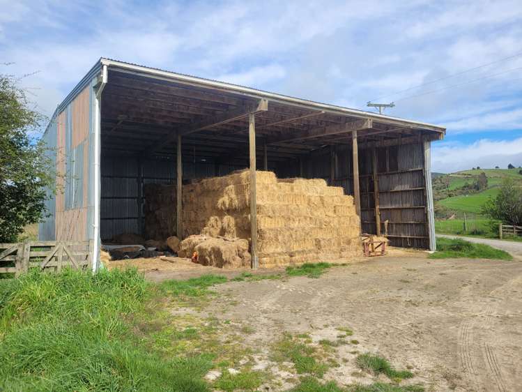 63 Sandford Road Catlins Surrounds_17