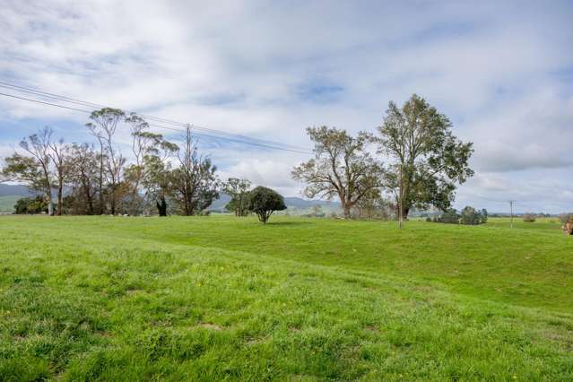 Lot Lot 3/128 Rapurapu Road, Te Poi Matamata_2