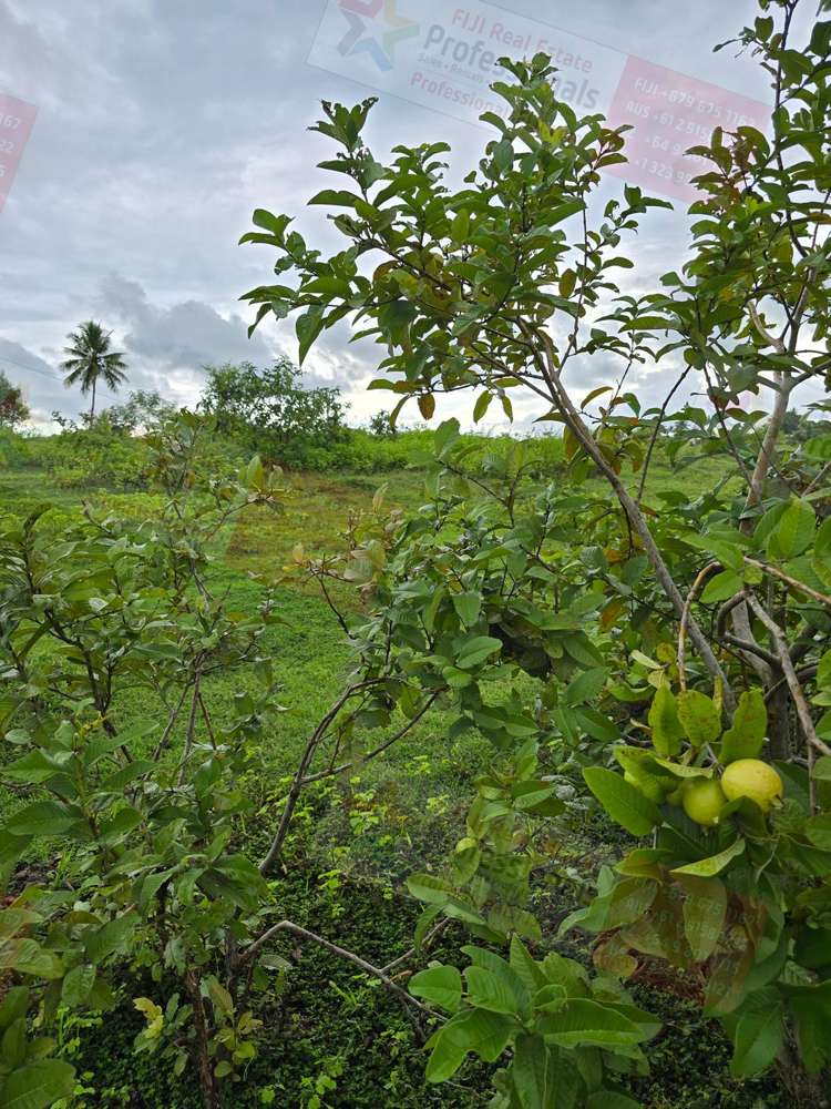 Address withheld Sonaisali_6