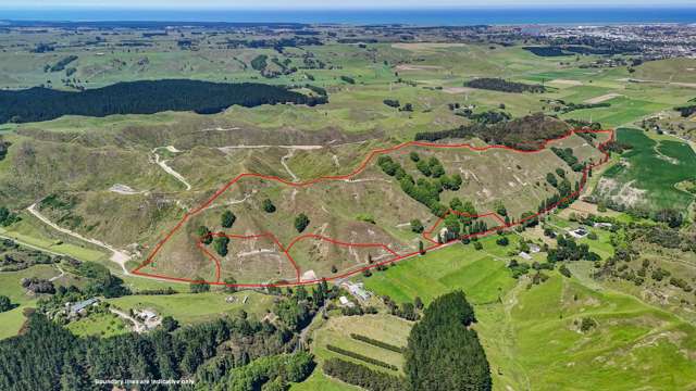 Unique Okoia opportunity