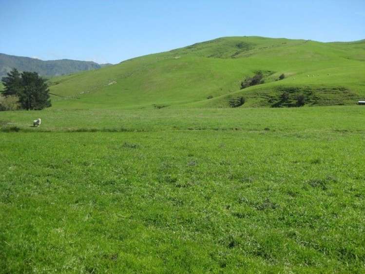 858 Oporae Road Waione_0