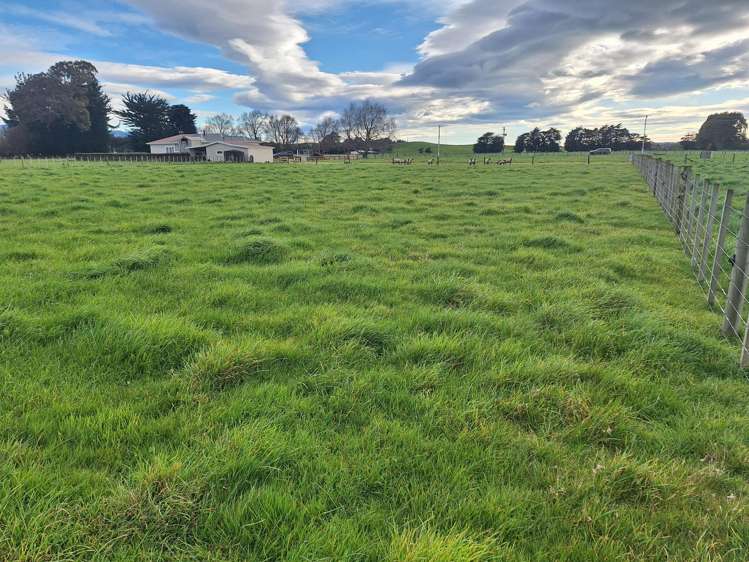 Lot Lot 1/49 Laws Road Dannevirke_11