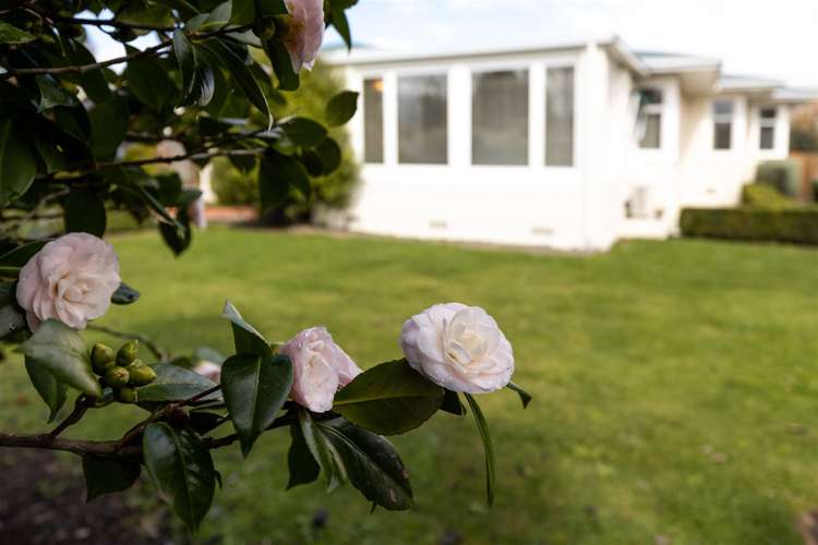 63 George Street Blenheim Central_21