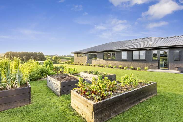 912 Te Miro Road Cambridge_31