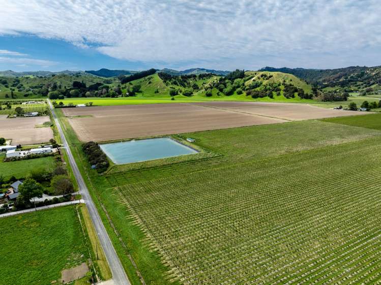 Whitmore Road Ormond_9