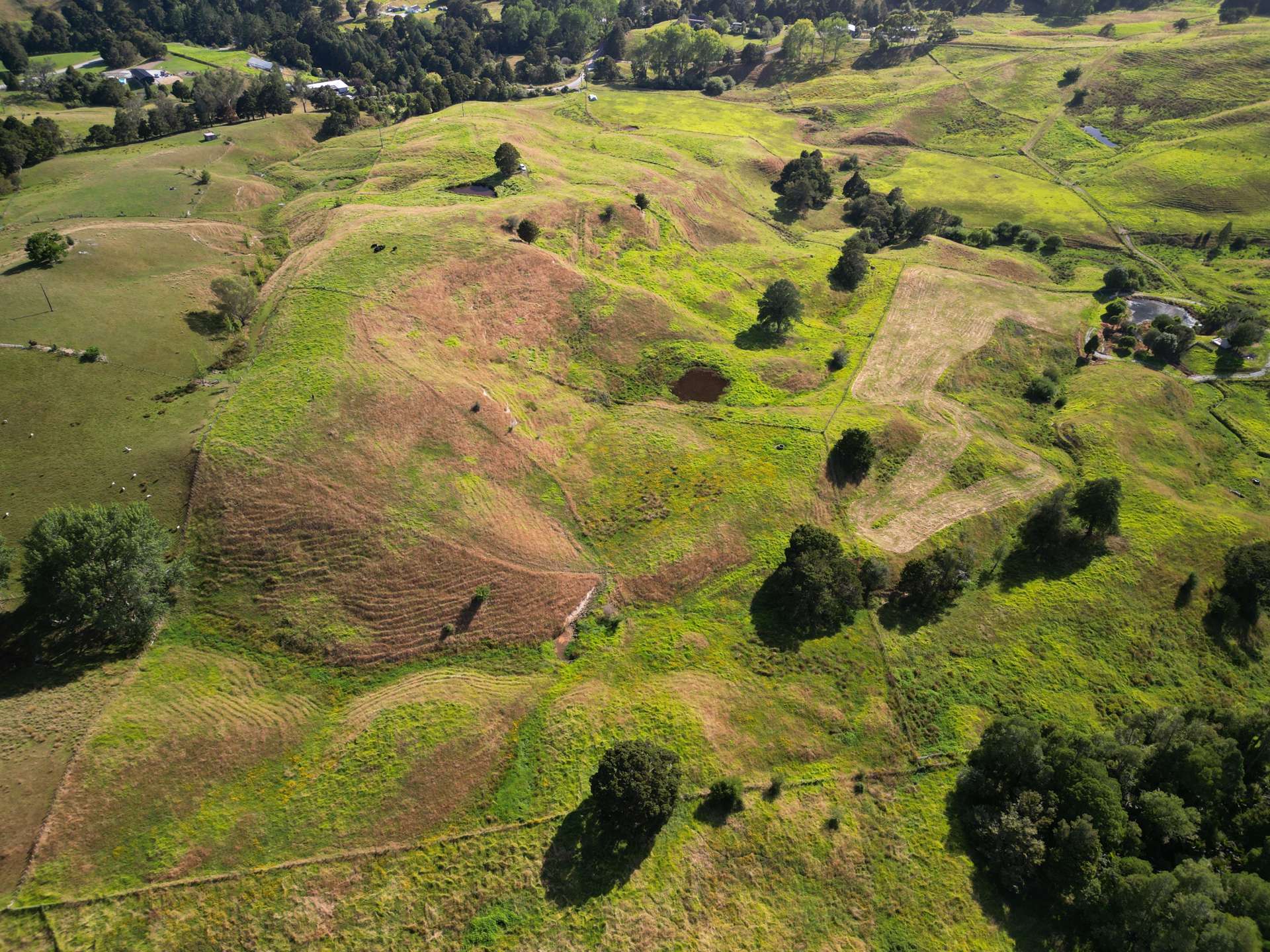 118 Paparoa Station Road Paparoa_0