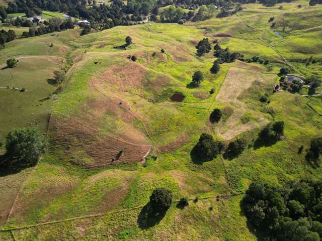 Privacy Meets Potential