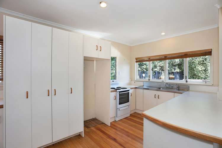 11b Johnson Street Bulls_7