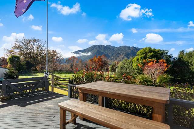38 Ritchie Street Te Aroha_2