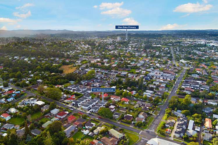 141B Seabrook Avenue New Lynn_12