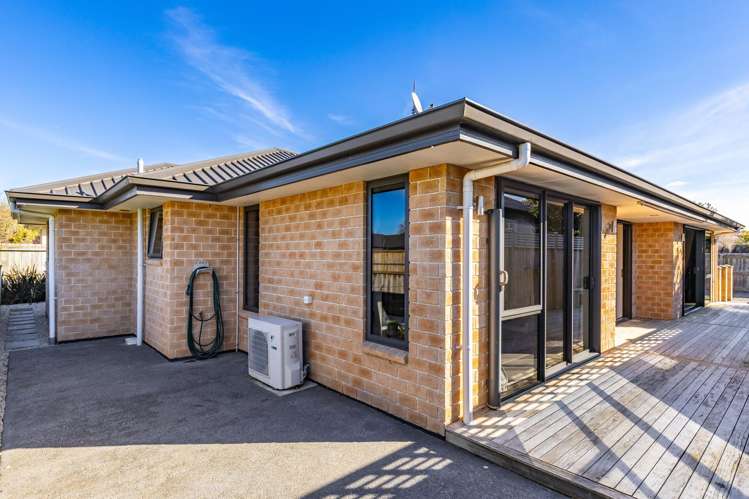 49b Park Terrace Blenheim Central_25