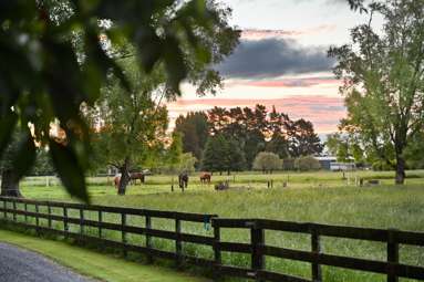 509 Marychurch Road_3