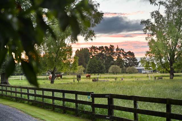 509 Marychurch Road Matangi_3