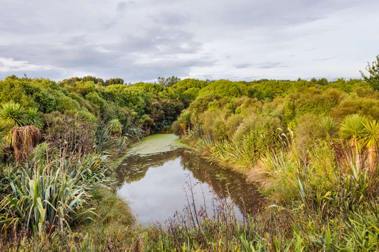 21 Loveston Lane Kelvin Grove_23