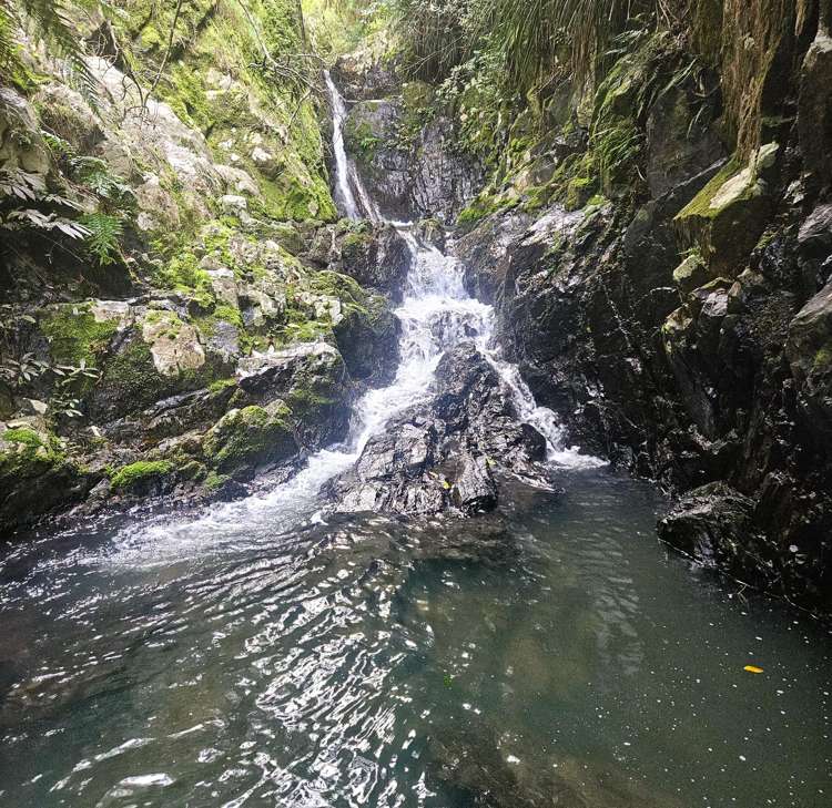647 Millbrook Road Waipu_21