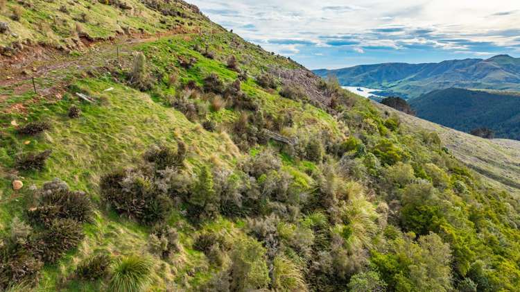 1301 Western Valley Road Port Levy_8