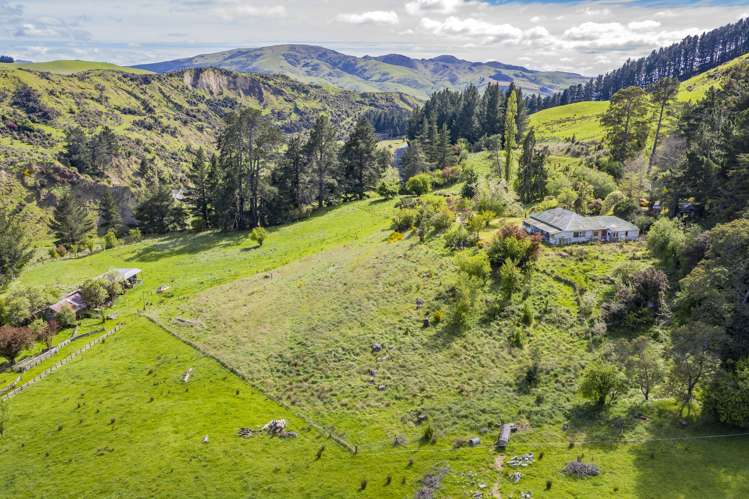 1228 Greta Road Greta Valley_13