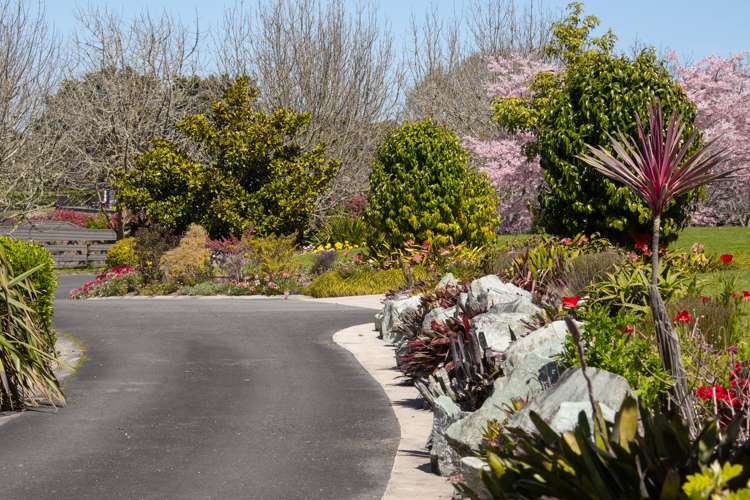 15 Josephine Place Te Kauwhata_44