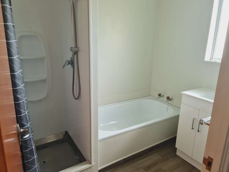 48a Livingstone Avenue Nawton_16