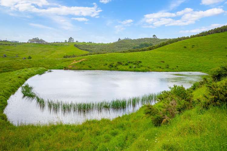 515 Kahikatea Flat Road Waitoki_48