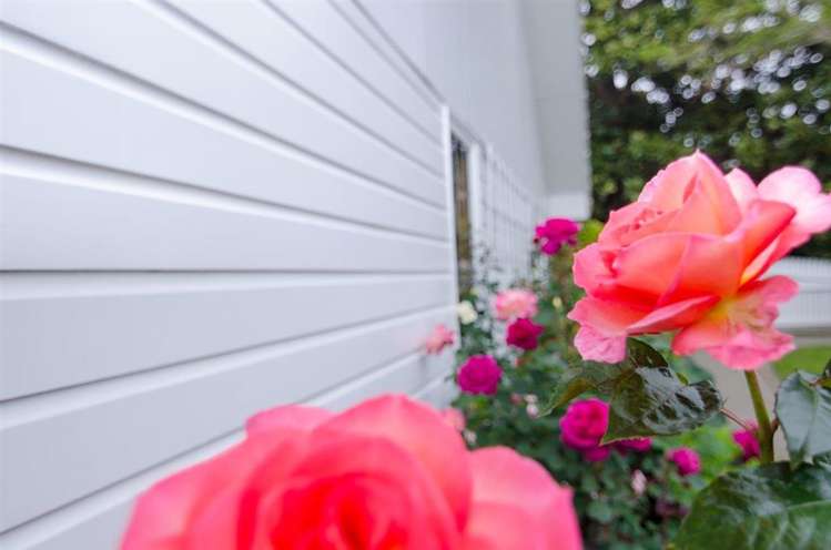 31 Hogg Crescent Masterton_21